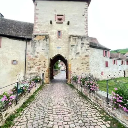 Appartement Le Rustique - Le Charme Alsacien Du Vignoble *