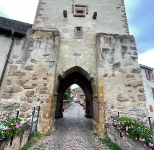 Le Rustique - Le Charme Alsacien Du Vignoble Apartment