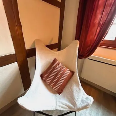 Le Rustique - Le Charme Alsacien Du Vignoble Apartment *