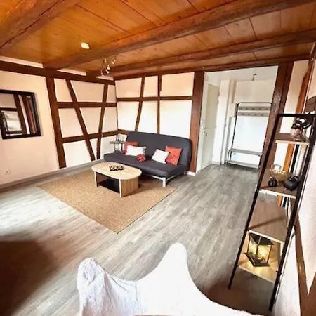 Le Rustique - Le Charme Alsacien Du Vignoble *