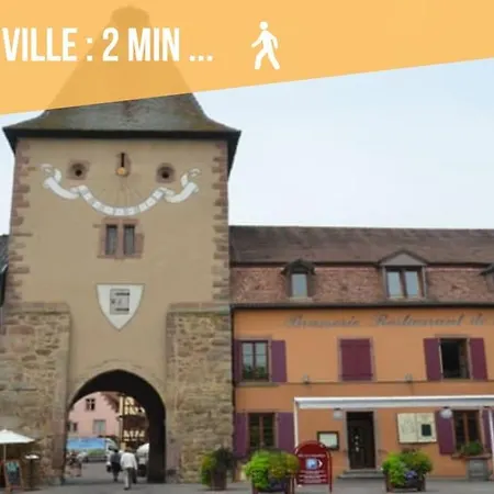 Le Rustique - Le Charme Alsacien Du Vignoble Apartment Turckheim