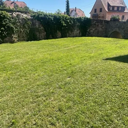 Lägenhet Le Rustique - Le Charme Alsacien Du Vignoble *