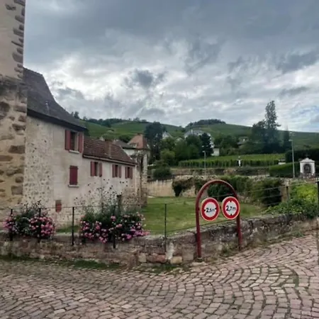 Le Rustique - Le Charme Alsacien Du Vignoble Lägenhet *