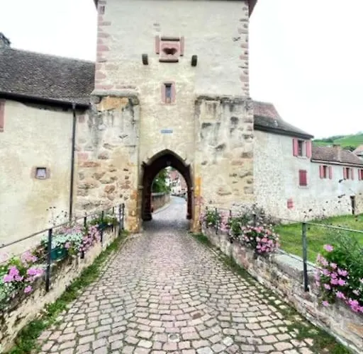 Apartmán Le Rustique - Le Charme Alsacien Du Vignoble *