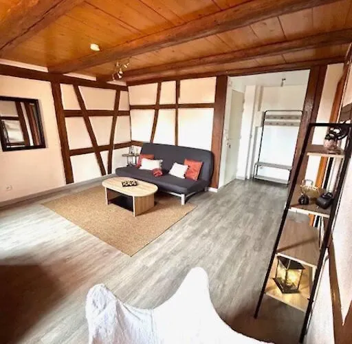 Le Rustique - Le Charme Alsacien Du Vignoble *