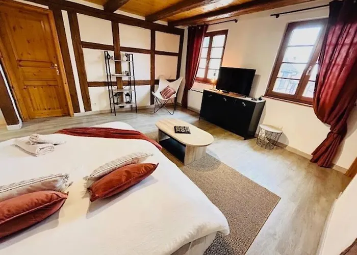 Apartmán Le Rustique - Le Charme Alsacien Du Vignoble *