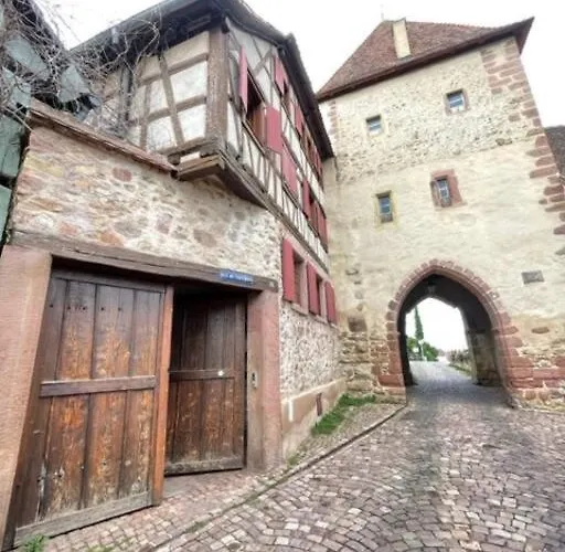 Le Rustique - Le Charme Alsacien Du Vignoble