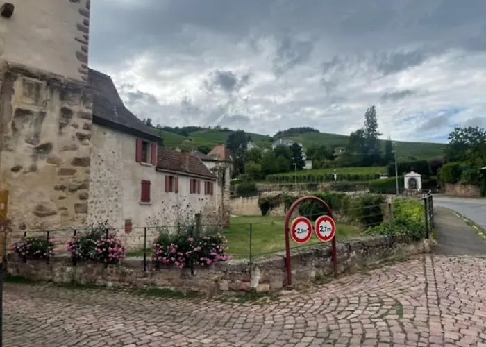 Le Rustique - Le Charme Alsacien Du Vignoble Apartmán *