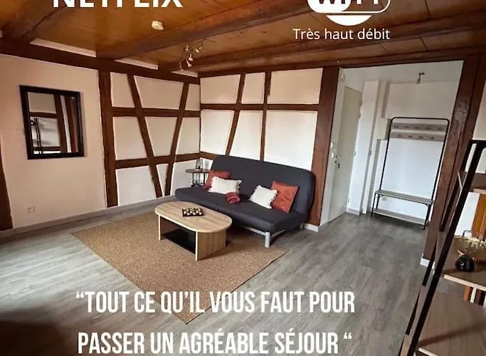 Le Rustique - Le Charme Alsacien Du Vignoble *